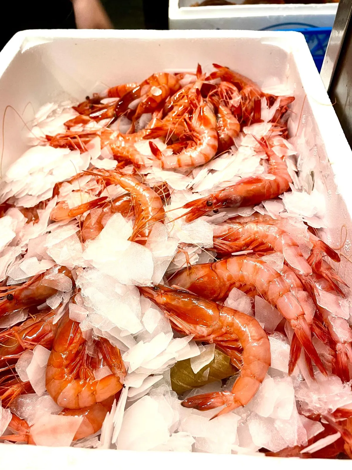 Gambas de Palamós sobre hielo